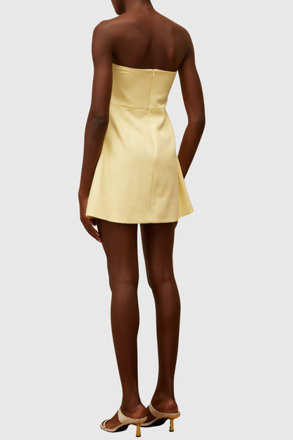 Obelia Strapless Floral Embroidered Mini Dress