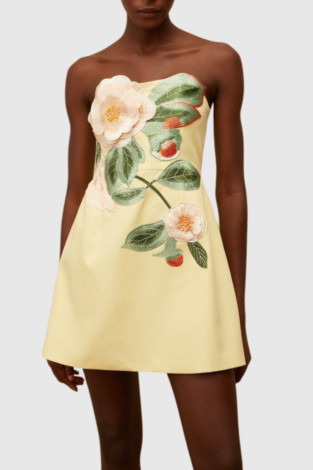 Obelia Strapless Floral Embroidered Mini Dress