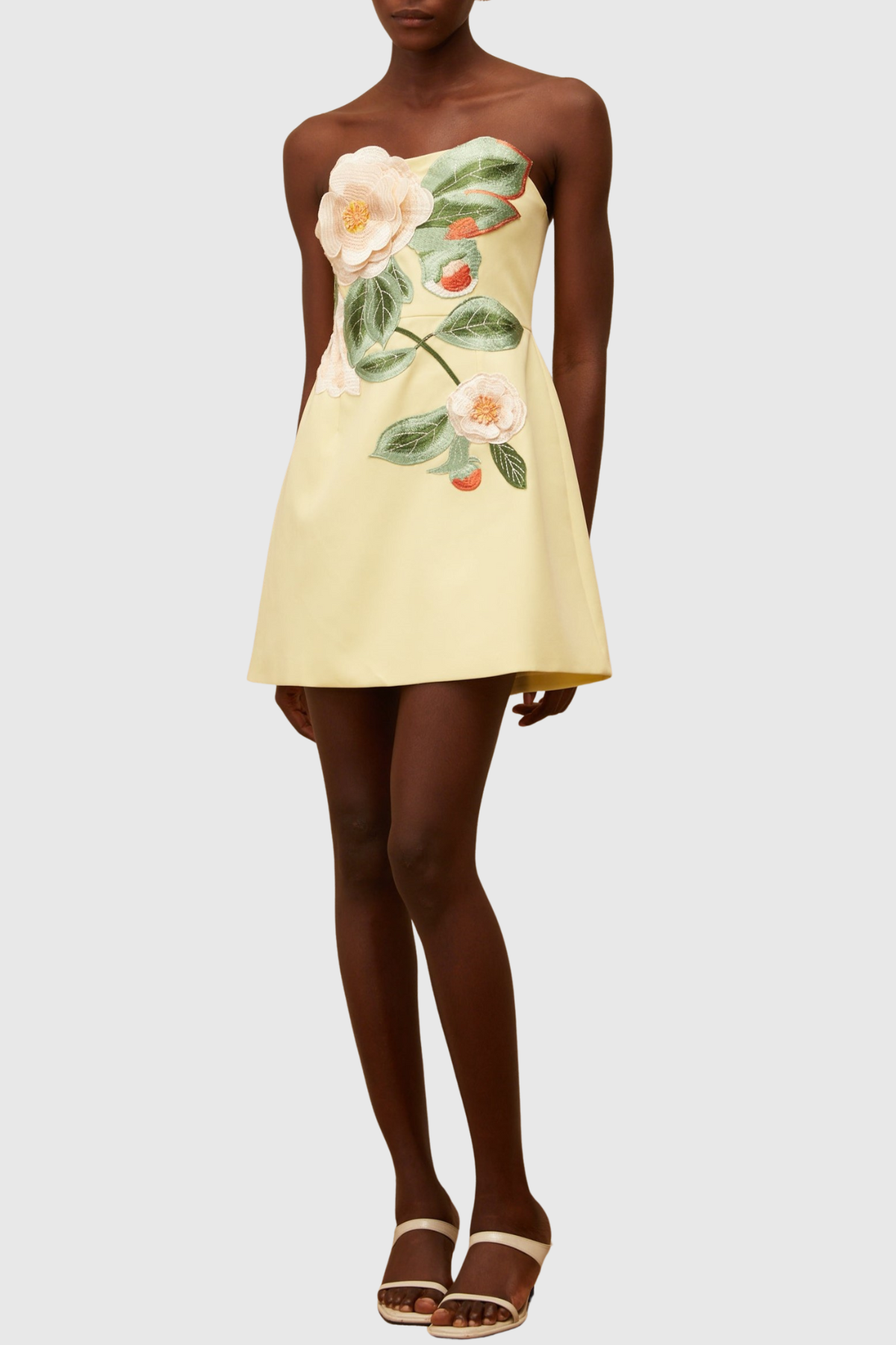 Obelia Strapless Floral Embroidered Mini Dress