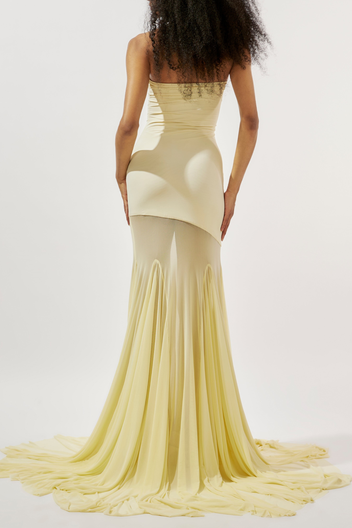 Tierna Strapless Sheer Tulle Maxi Dress