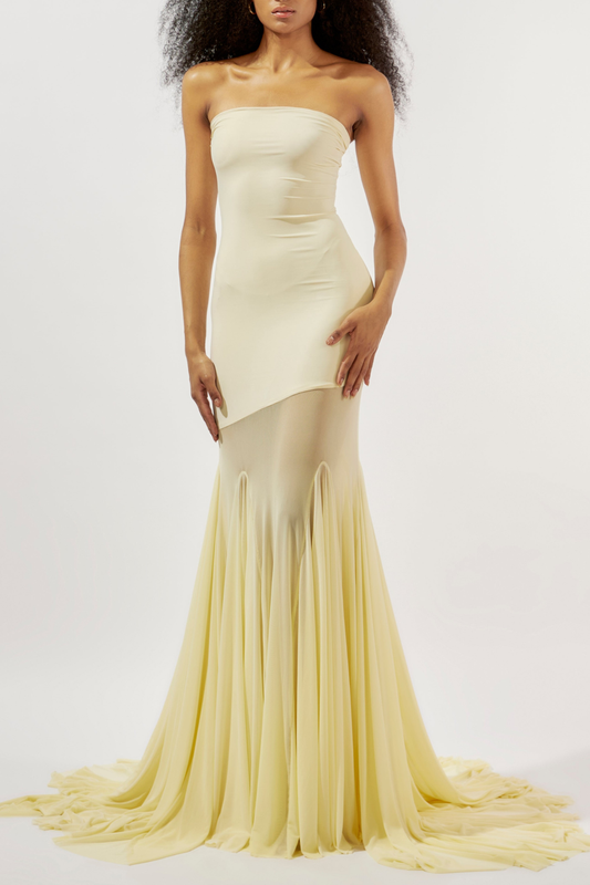 Tierna Strapless Sheer Tulle Maxi Dress